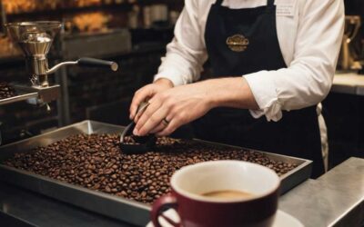 Le choix du café en grain pour professionnel comment faire la différence
